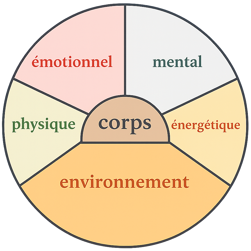 mon approche holistique mon approche holistique